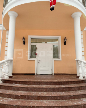 Большая входная дверь со стеклопакетом - фото