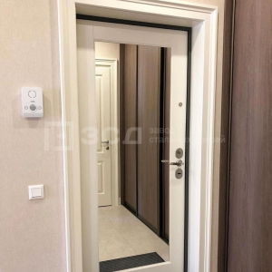 Дверь входная металлическая - фото
